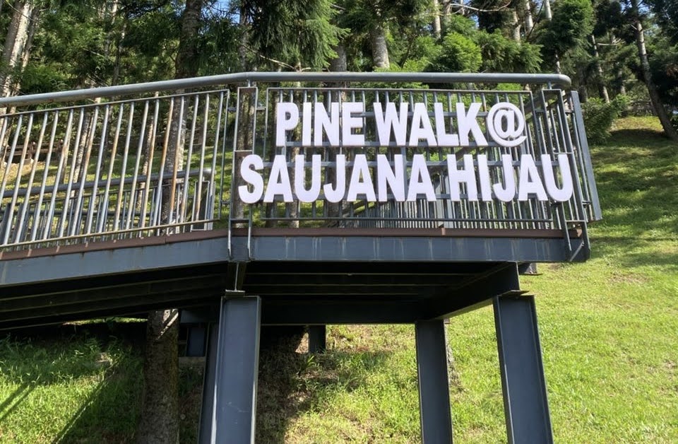 Pine Walk @ Saujana Hijau: Tak Sangka Ada Tempat Macam Ni di Putrajaya